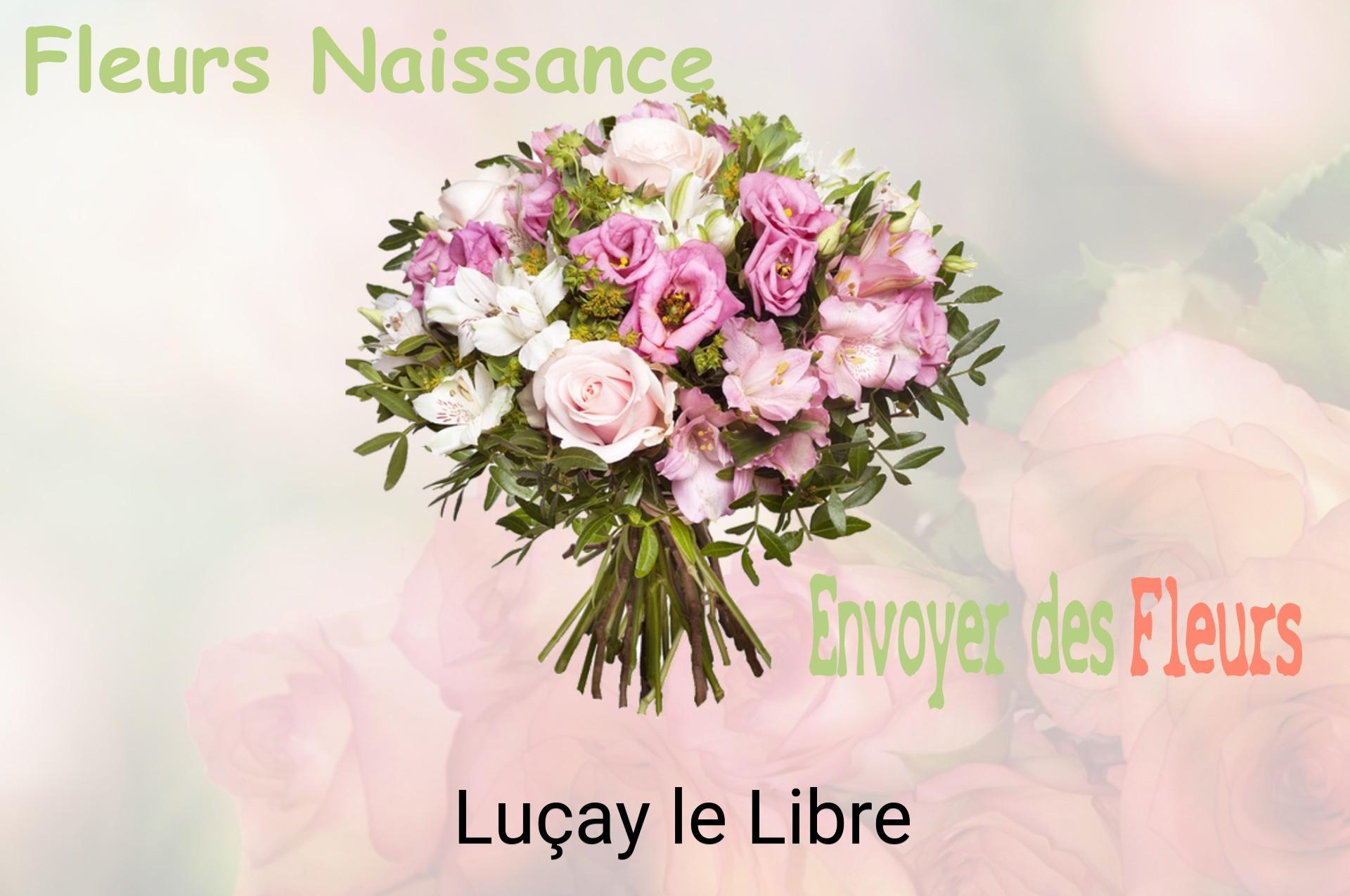 Bouquet de fleurs de naissance livré à Luçay-le-Libre