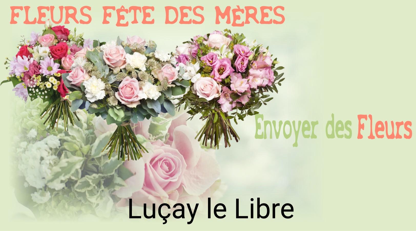 Bouquet de Fête des Mères livré à Luçay-le-Libre